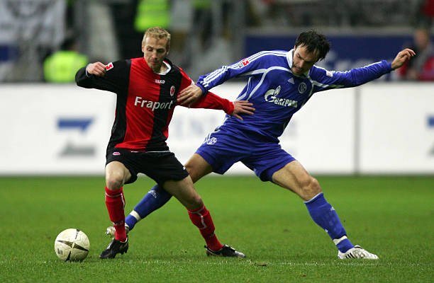 总结了自己 总结了自己